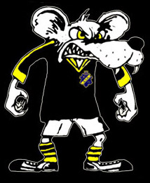 aik5.jpg></p><p align=